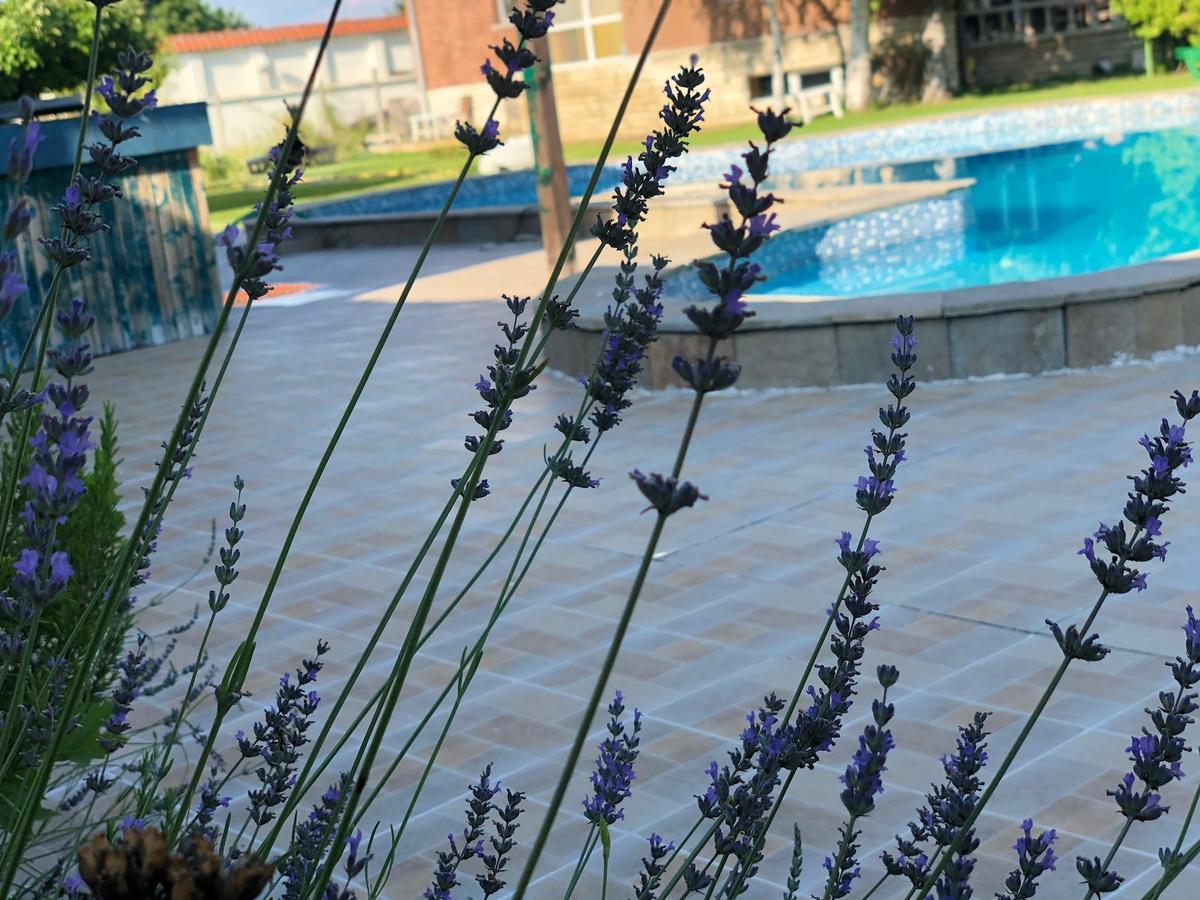Hotel Galeria In The Garden Plovdiv Exterior foto